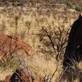 australia-dry