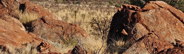 australia dry