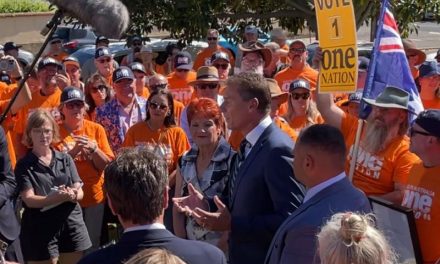 Poll Surge Supercharges Cory Bernardi Bid in South Australian Election