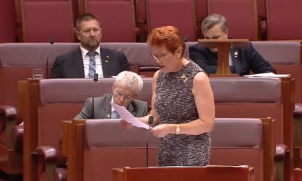 Labor Rejects New NDIS Fraud Inquiry, Senate Resists One Nation Push