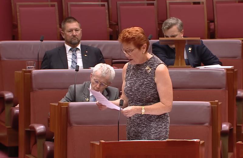 Labor Rejects New NDIS Fraud Inquiry, Senate Resists One Nation Push