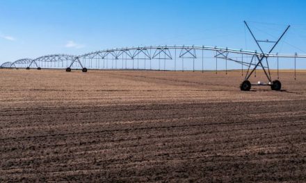 Farrer Water Buybacks Split Field as Greens Back Targeted Purchases, Rivals Miss Deadline