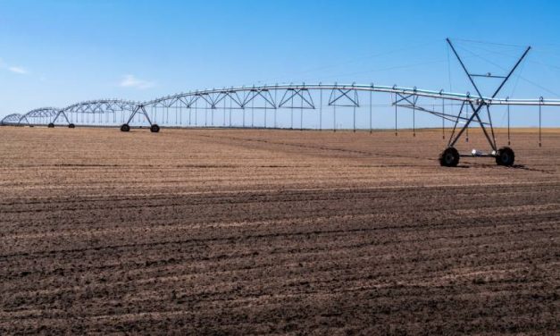 Farrer Water Buybacks Split Field as Greens Back Targeted Purchases, Rivals Miss Deadline